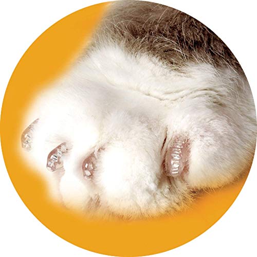 Soft Claws Nail Caps - Large - Natural