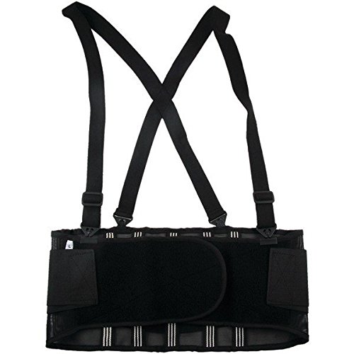 Ergodyne 150-11384 Pf Pf100-Bk L Back Support