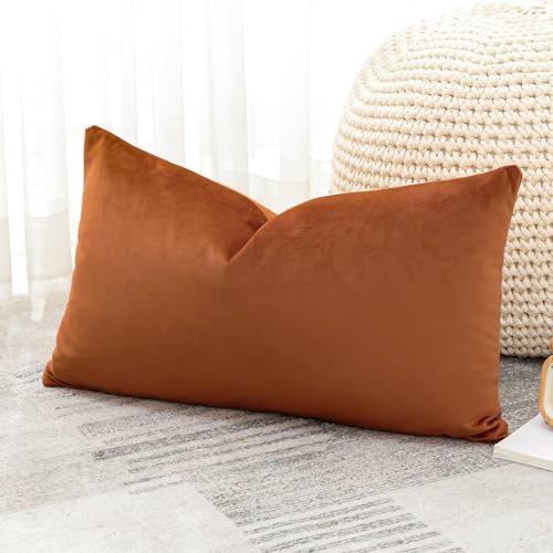 Artscope Luxury Velvet Cushion Covers Super Soft Decorative Throw Pillow Covers Case Lumbar Cushion Cases for Sofa Couch Bedroom Car Decor 30x50cm Orange - Image 4