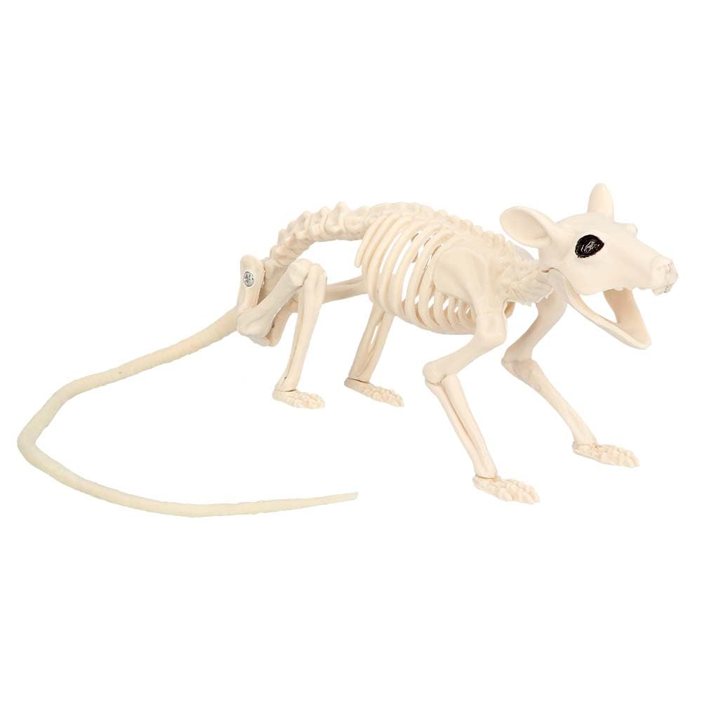 Squelette De Rat Halloween En Plastique - Décoration Effrayante Pour Maison Hantée - Environ 30 X 6,5 X 9 Cm
