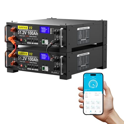48V 200Ah Lithium LiFePO4 Solar Battery(2 Pack 48V 100AH), Support Inverter Communication, Built-in 100A BMS with Bluetooth,10.24kWh Capacity, 6000+ Cycles, Perfect for Off-Grid, Solar, Backup Power