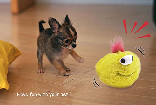 Dog Toy Interactive Plush Squeaky Electric Pet Toys, Battery Operated Auto Moving Ball, For Prevent Boredom (Kit) #TOP5