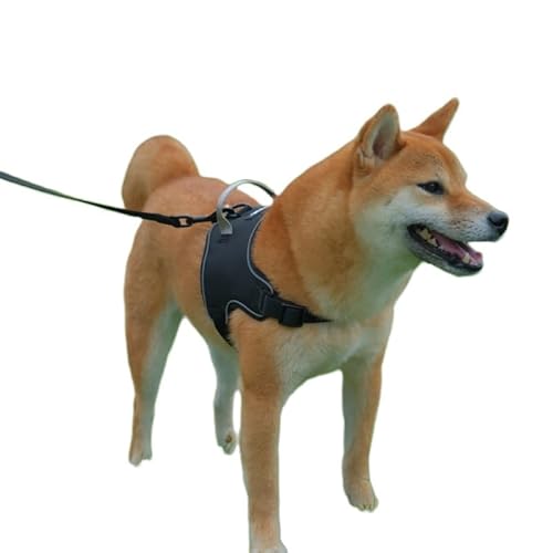 AIBPET �� �n�[�l�X �ϋv�� ���^�� ���^�� �P�� �y�� ���^�� �ʋC�� ��^�� �g���Ղ� ���p�n�[�l�X �P���p ��������h�~ ���ˍޗ� ��� �e�͐� ���߉\ ���[�h ��� �y�b�g�p�i �����ȒP ��v�ȍ�� (black, S)