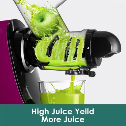 Image of Fretta Juicer Machines, Cold Press Juicer, BPA Free Masticating Juicer Machines Vegetable and Fruit, 3-Inch Wide Feeding Chute, Easy to Clean,Quiet and Strong DC Power, 200W (Onion Purple)