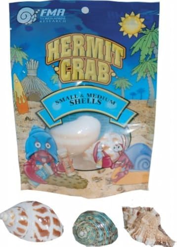 Florida Marine Research SFM33332 Hermit Crab Shell, Medium, 3-Piece per Pack