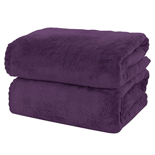Moonqueen 2 Pack Premium Bath Towel Set - Quick Drying - Microfiber Coral Velvet Highly Absorbent Towels - Multipurpose Use As Bath Fitness, Bathroom, Shower, Sports, Yoga Towel (Grape Purple) #TOP10