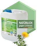 Nanoprotect Unkraut-Stopp Grundstoff Essig/Acetum 5 Liter | Natürlicher Unkrautvernichter für Wege, Pflaster & Terrassen | Biologisch abbaubar | Vinegar E 260 Lebensmittelqualität | Essigsäure