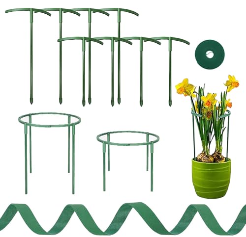 8 Pack Soportes para Plantas, Tutor Plantas, Apoyo para Plantas, Plantas de Plástico Jardín Soporte, para Pequeñas Vegetal Arbusto Tomate (4PCS 25cm+4PCS 15cm)
