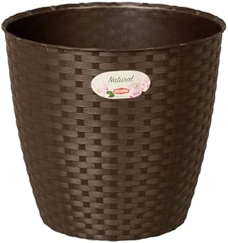 Fioriera rattan thumbnail classifica