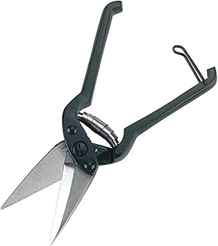 Kerbl Foot-Rot Shears Without Teeth