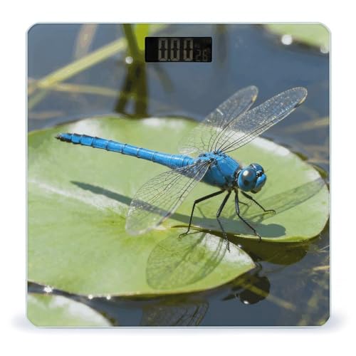 Báscula digital Dragonfly con pantalla LCD grande y alta precisión miniatura 1