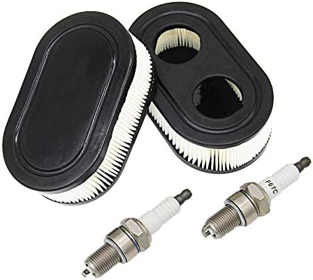 2x Filtre à Air Pour 550E 550EX Eco-Plus 575EX Series 4247 5432 5432 K