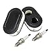 SWNKDG 2ST Luftfilter + Zündkerzen für Briggs & Stratton Motoren 550E 550EX Eco-Plus 575EX Series Ersetzt 798339 798452 593260 093000er 09P0000er Motor 4247 5432 5432K
