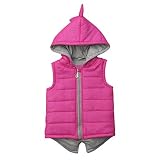BULINGNA Kids Toddler Baby Girl Boy Dinosaur Vest Hoodie Sleeveless Waistcoat Warm Jacket Outwear wi