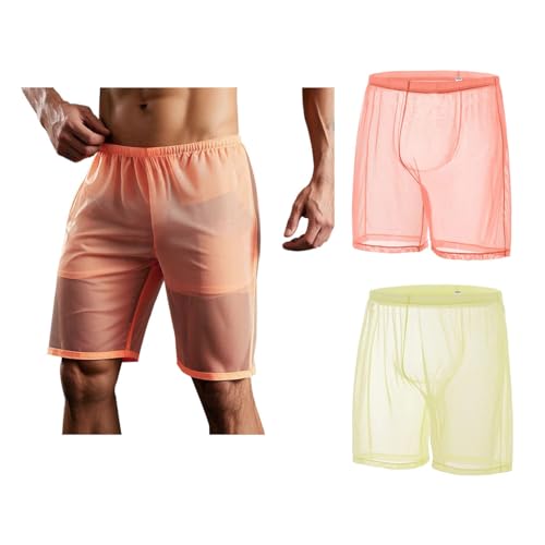 Men's Sexy Mesh Boxer Shorts Lounge Underwear Breathable See Through Trunks