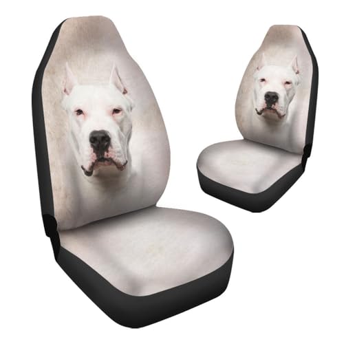 Fundas asientos delanteros: evita manchas con diseño de perro