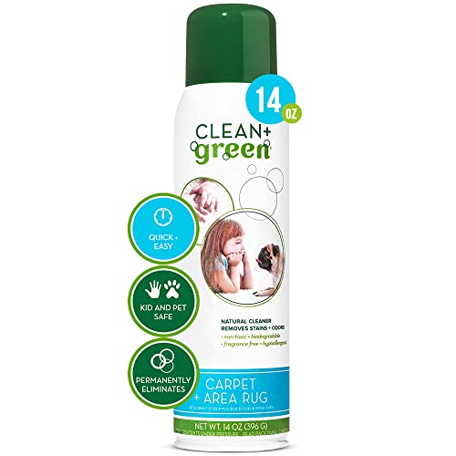 Clean+Green Carpet Cleaner Natural Stain and Odor Remover, Deep Clean With Multi Purpose Spray Your Carpeted Floors - Safe for Pets, Kids and Environment- 14-Ounce- Made in the USA