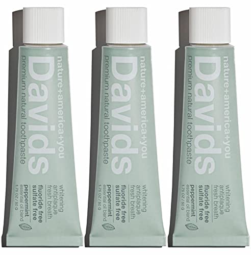 Dentifrice de voyage naturel Davids sans fluor à la menthe poivrée en lot de 3 tubes