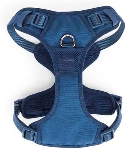 EveryYay by Petco Full Dog Harness Navy Large