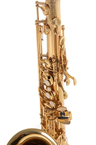 Roy Benson Bb-Tenor Saxophon TS-302 (premium Relaxed Neck Design mit RND S-Bogen, mit Hoch F#-Klappe & H/B-Wippe, USA Mundstück, PISONI Polster, leichtes Rechtecketui, versenkbare Rucksackfunktion)