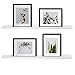 WELLAND Vista Picture Ledge Floating Ledge Wall Shelves, 36-inch, Set of 2, White