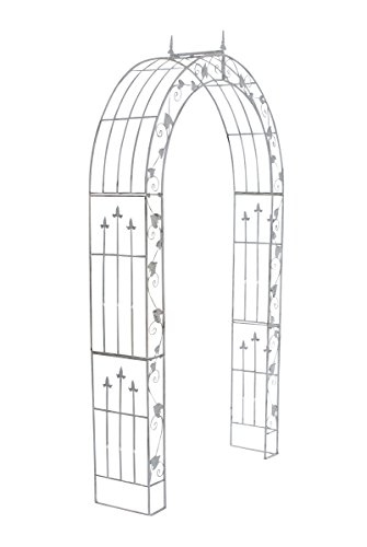CLP Arche de Jardin en Fer Forgé Emma I Support pour Plantes Grimpante Robuste I Arcade de Jardin Solide et Durable I Treillis de Jardin Couleur,...