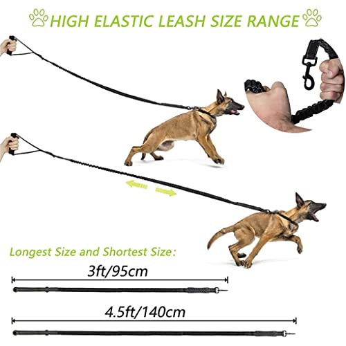 Reflective Stitching Dog Leash Detail