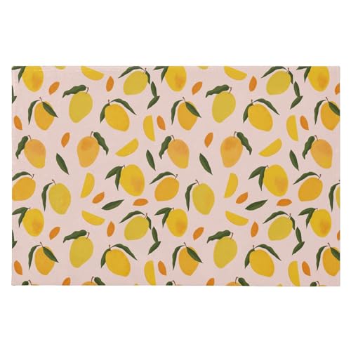 SAMAU  փ}bg  }S[ ӂӂ hA}bg DƂ ~ O Ɩp ItBXp ƒp 唻 60*90CM