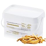 Gusanos de la Harina Secos 800 GR - Tenebrios Deshidratados Premium 5L - Comida para Tortugas, Peces, Hamster, Gallinas, Pájaros, Roedores | +50% Proteína