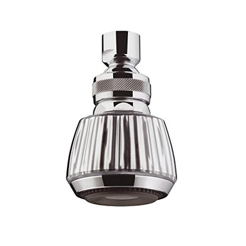 Preisvergleich Produktbild hansgrohe Brausekopf Selecta mit Kugelgelenk chrom