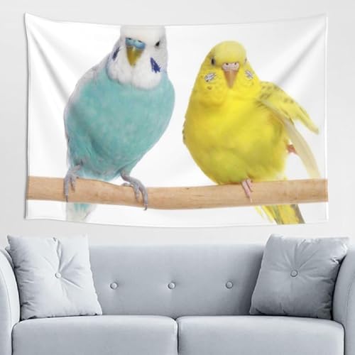 ^yXg[ 킢CR ?3 t@ubNpi  A[gvg Ǌ| z CeA |X^[ wiz