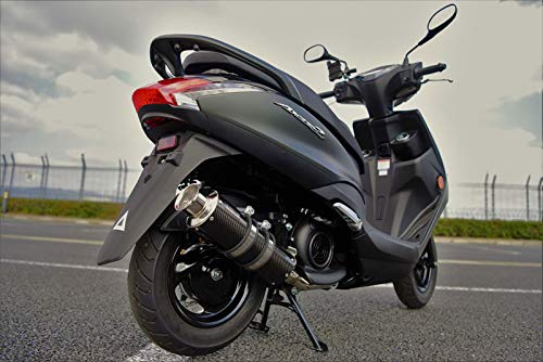 Amazon | ビームスモーターカンパニー(Beams Motor Company) SS300