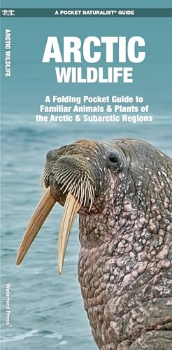 Arctic Wildlife (Nature Observation International)