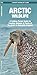 Arctic Wildlife (Nature Observation International)
