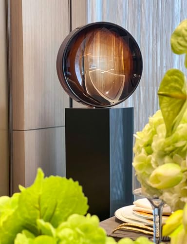 NEWKNG Luxury Acrylic Crystal Transparent Abstract Sculpture Insight, Modern Artistic Statue, Plano Concave Lens Shape, High-end Decor, Fashion Enjoy Life (Brown, 18" D x 5" W x18 H) - Image 5