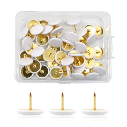 Jinmoioy 100 e vX`bN ^~x I s^bN S[fX`[|Cg RN{[hp zCg