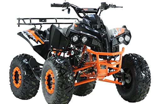 RV-Parts 125ccm Quad ATV Kinder Pitbike 4 Takt Motor Quad ATV 8...