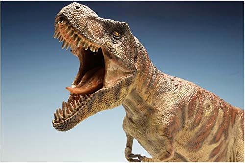 Figura Dinosaurio T-Rex 1/24 Pegasus Spiele miniatura 4