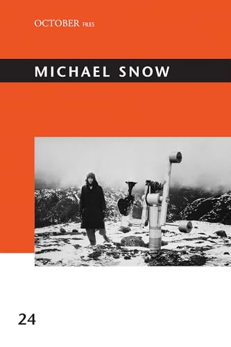 Michael Snow view 2