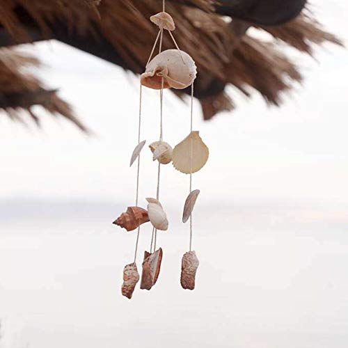 WEOXPR 200 Pcs Sea Shells Bulk Mixed Ocean Beach Seashells for Kids, Various Sizes Natural Sea Shell for Crafts, Home Decorations, Beach Theme Party, Wedding Decor, DIY Crafts, Crafting Shells - Image 6