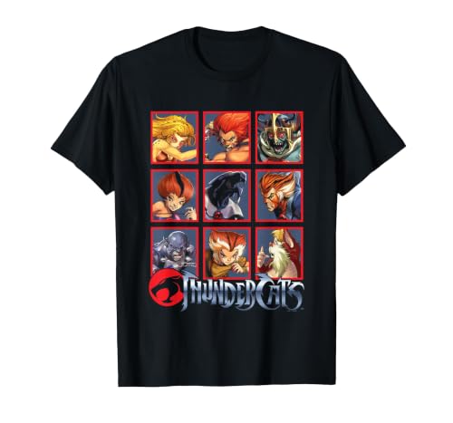 Thundercats Bring The Thunder Vintage Box Up T-Shirt, Men, Black, 3X-Large