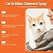 Roseye Cat Deterrent Spray for Indoor Use - Gentle & Effective Spray to Discourage Scratching & Marking, Natural Boundary Aid for Furniture & Plants, 100ML/3.38oz/2-Pack