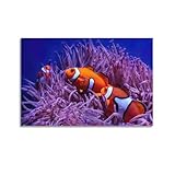YBHF Ocellaris Poster coloré et varié de la vie sous-marine - Poisson clown - Décoration murale rétro - Esthétique - Décoration pour chambre ou bureau - 20 x 30 cm - Style sans cadre