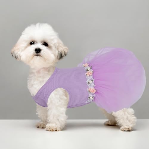 Image of CuteBone Purple Tulle Skirt Dog Wedding Bridesmaid Dress for Puppy with Lace Trim at Waist - Comfortable, Stylish, and Perfect for Special Occasions HBQ02M