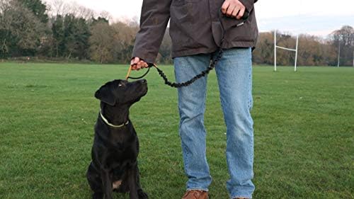 Anti Pull Dog Lead with Padded Handle - Heavy Duty Shock Absorber Bungee Dog Lead with Reflective Stitching - Double Handle Dog Leash for Control