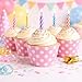 Dress My Cupcake Pink Polka Dot Cupcake Wrappers, Set of 12 – Decorative Paper Wraps for Standard Cupcakes, Party Desserts, Birthdays, Valentine's Day, Baby Showers, Weddings