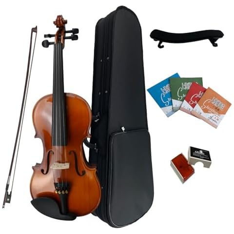 Insoul 4/4 Full Size Violin Set Cover