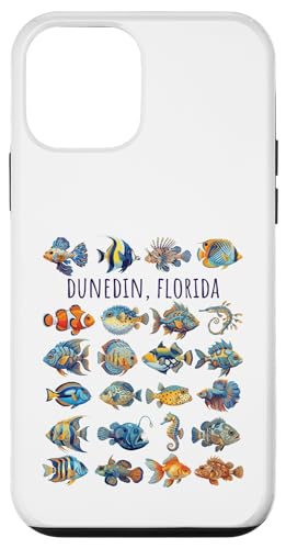 �_�j�[�f���E�t�����_ �J���t���ȋ��̃f�U�C���B �X�}�z�P�[�X iPhone 12 mini �p