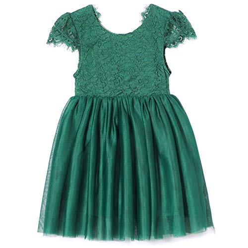 Niyage Toddler Girls Tulle Princess Party Dress Baby Elegant V-Back Lace Flower Girl Dresses