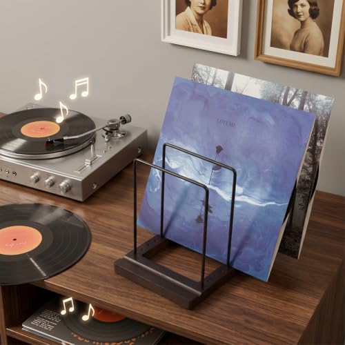 Organizador de álbumes para sala de estar con soporte de vinilos decorativo de madera 3
